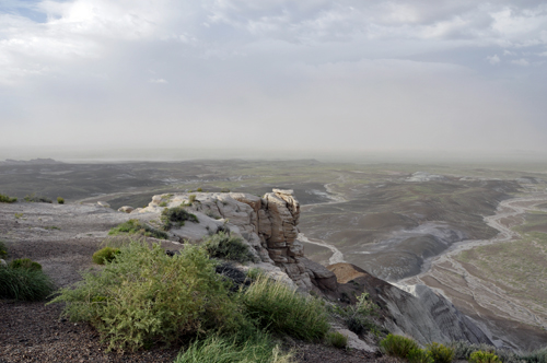 Looking North from the Blue Mesa overlook